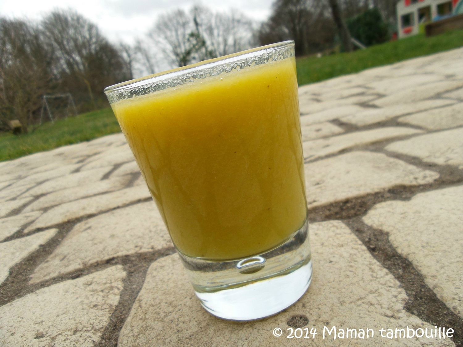 Read more about the article Smoothie multi vitamines