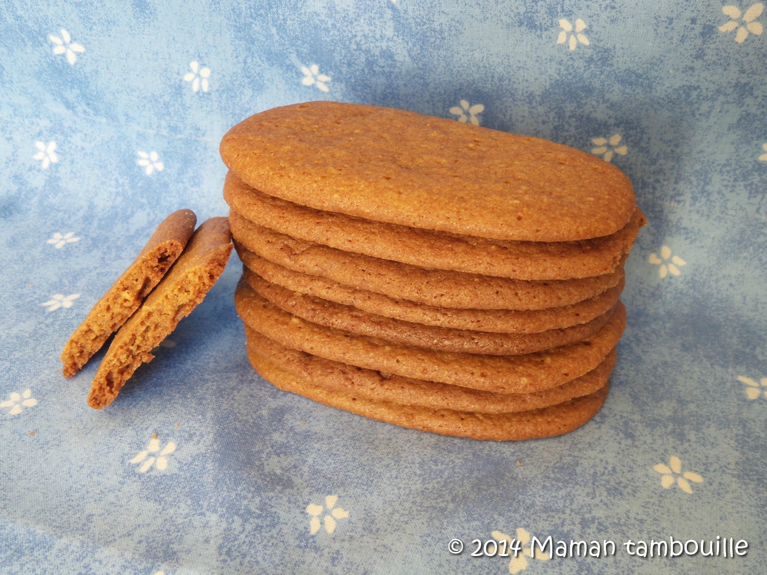 Read more about the article Speculoos