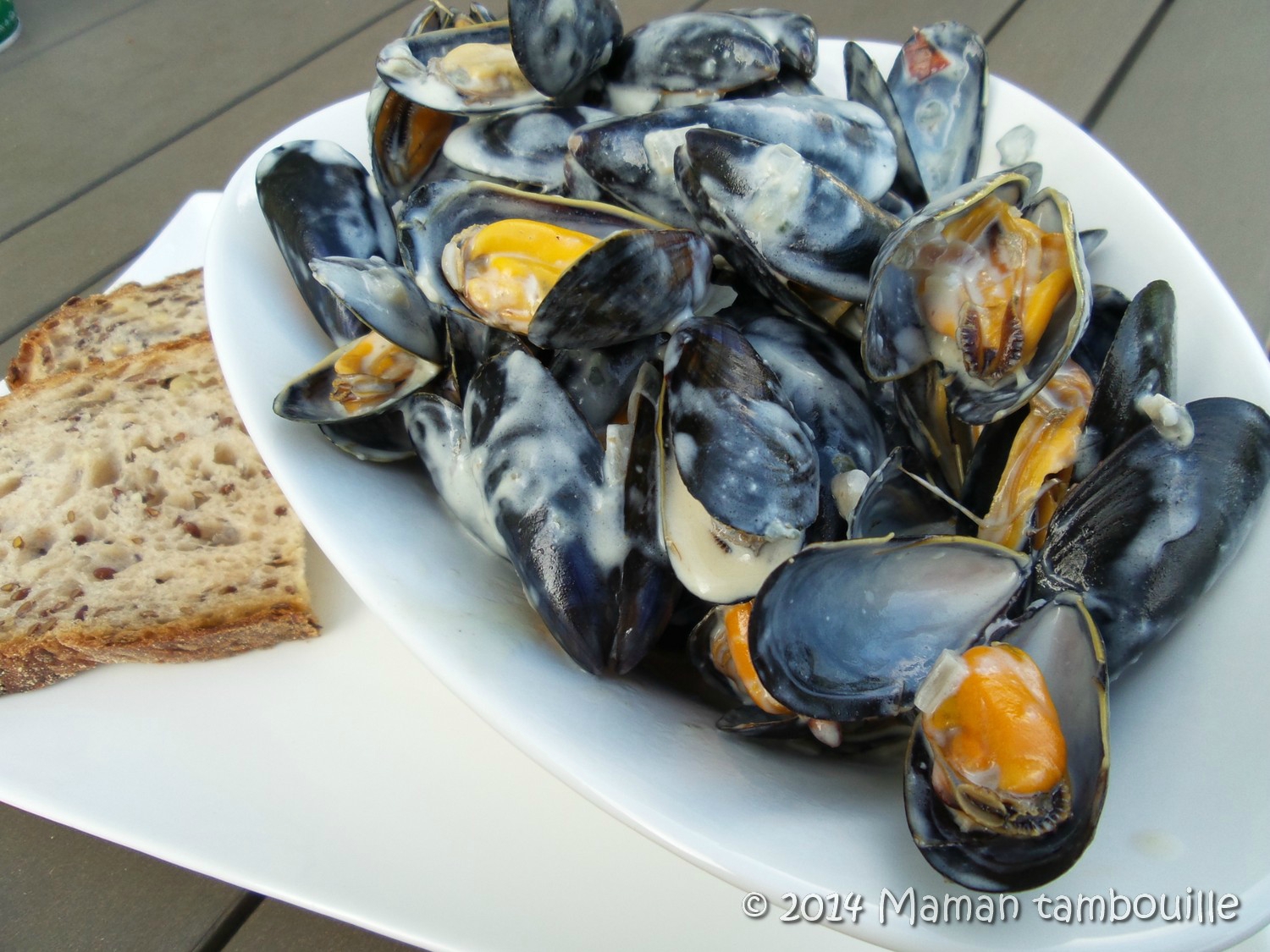 You are currently viewing Moules au roquefort