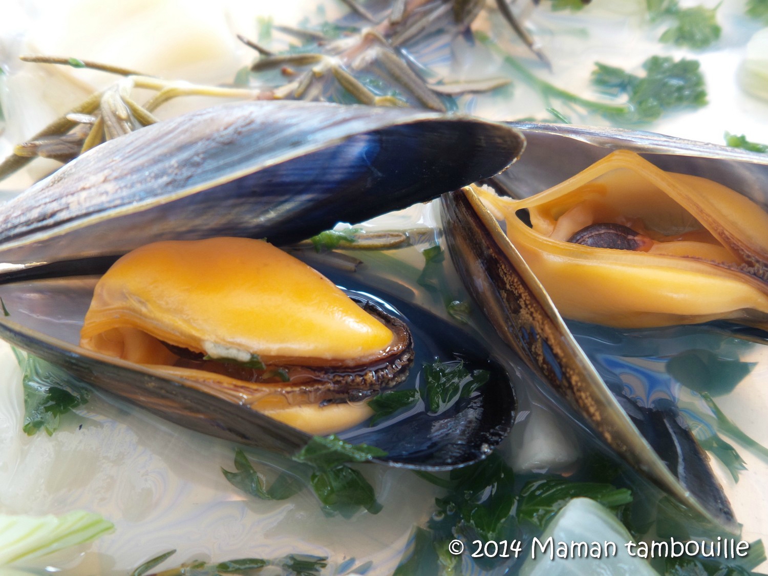 Read more about the article Moules au barbecue