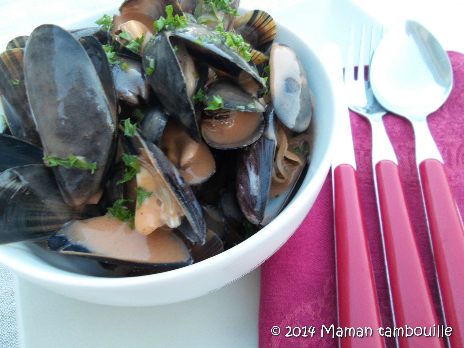 Read more about the article Moules sauce armoricaine