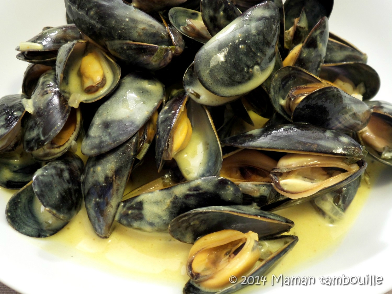 Read more about the article Moules au curry