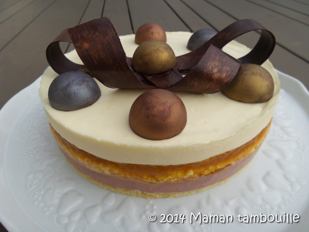 Read more about the article Entremet passion framboise