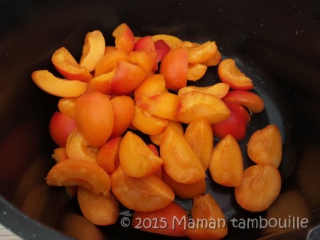 compotee-abricot-romarin04