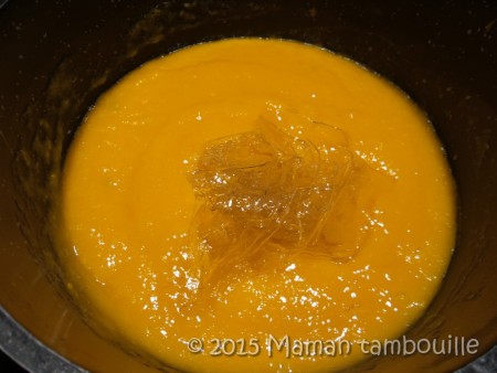 buche mangue insert framboise22