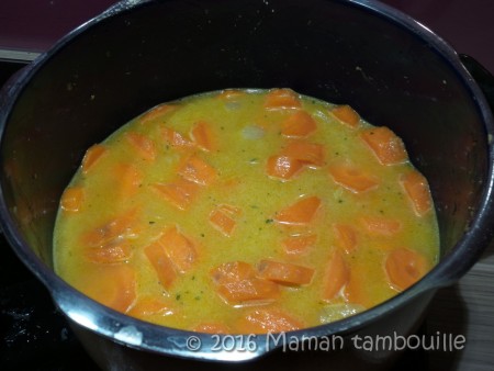 creme carotte farine de chataigne06