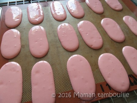 biscuits roses a la fraise09