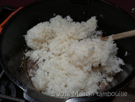 riz frit au boeuf12