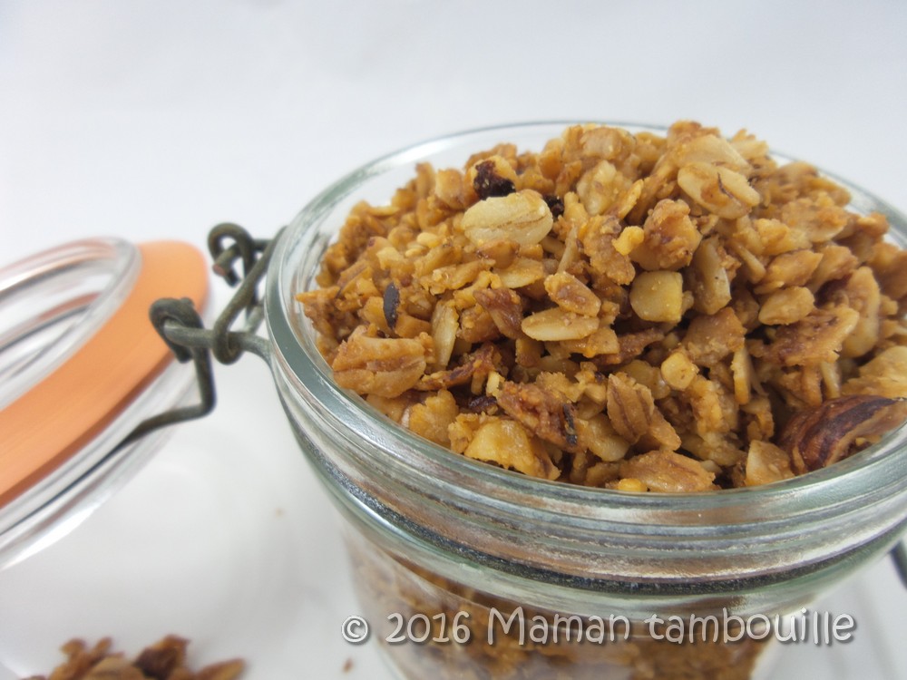 You are currently viewing Granola/Muesli maison
