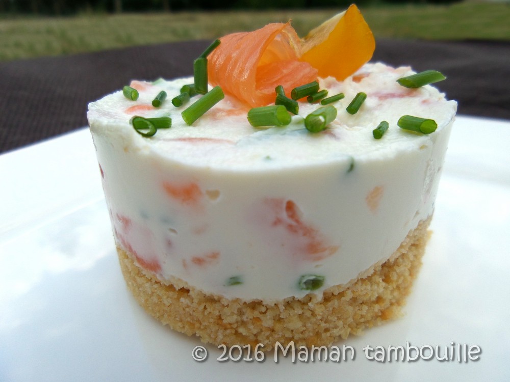 Read more about the article Cheesecake au saumon fumé