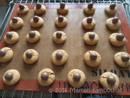 cookies-araignees06