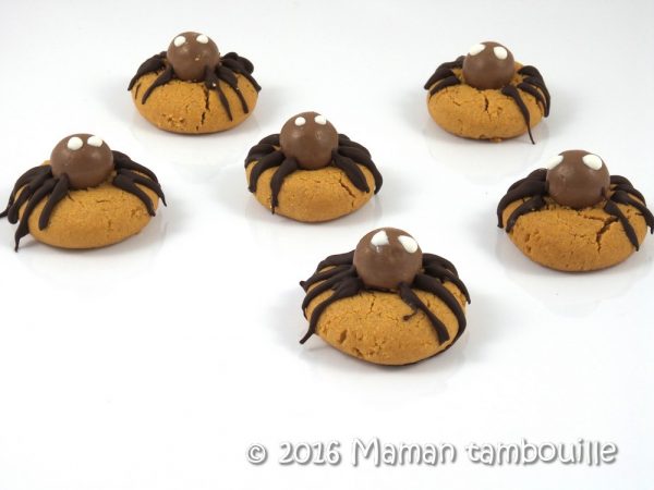 cookies-araignees10