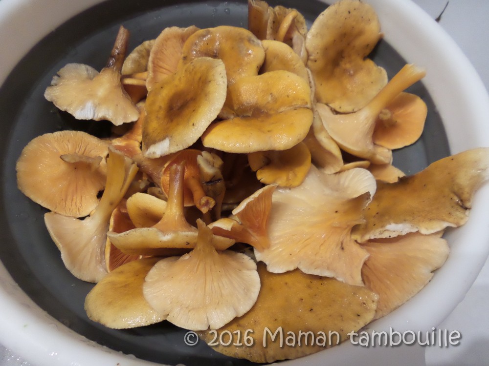 Nid d'œuf aux girolles Maman Tambouille