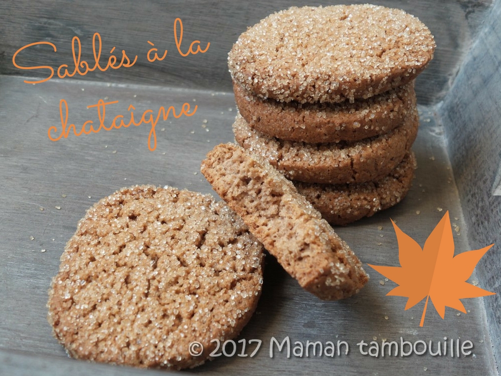 Read more about the article Biscuits à la chataigne