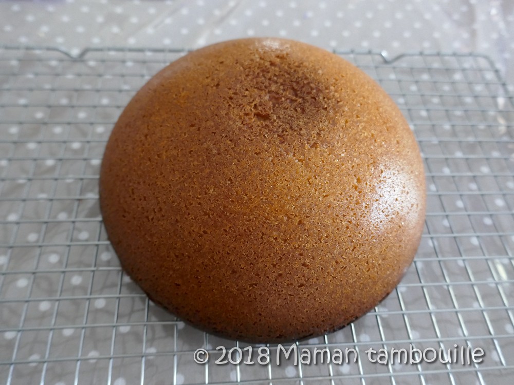 Gâteau chat Maman Tambouille