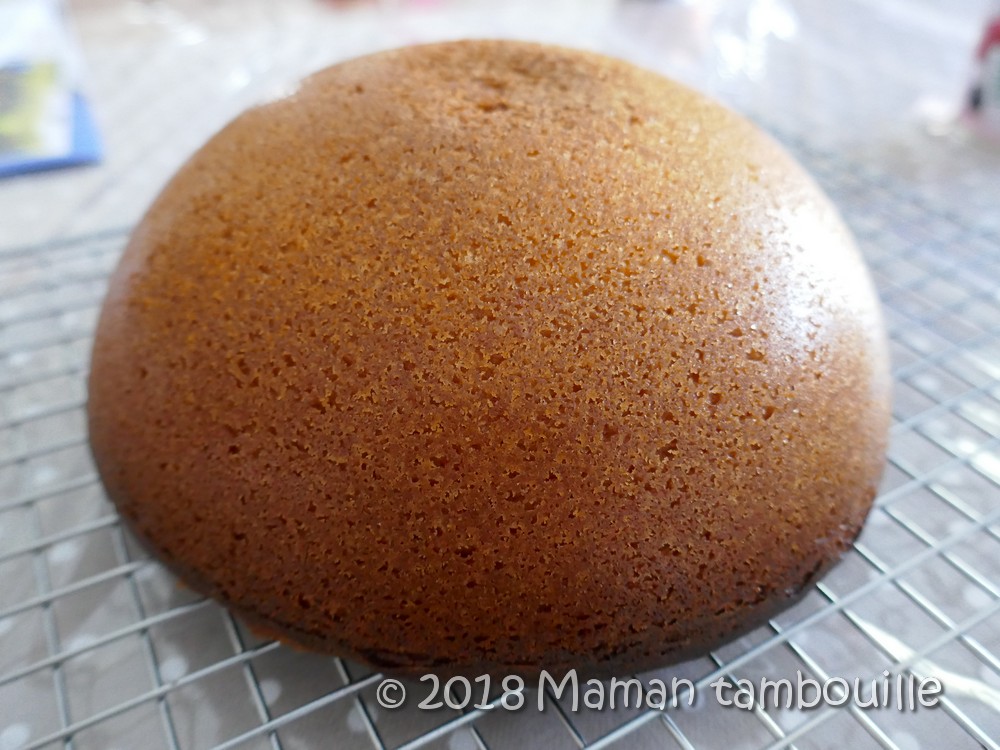 Gâteau chat Maman Tambouille