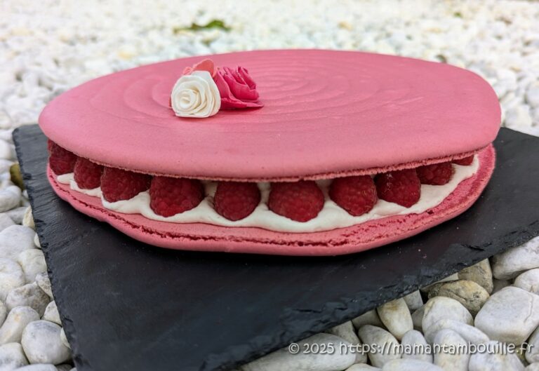 Lire la suite à propos de l’article Macaron géant façon ispahan