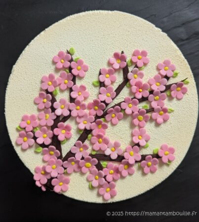 Entremets sakura